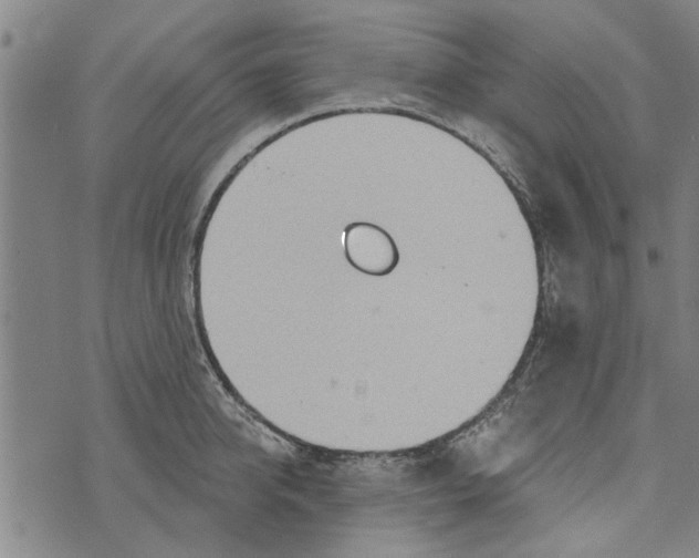 X0000073730950200608241253