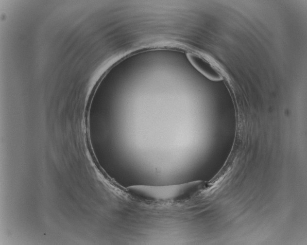 X0000073730951200608241253