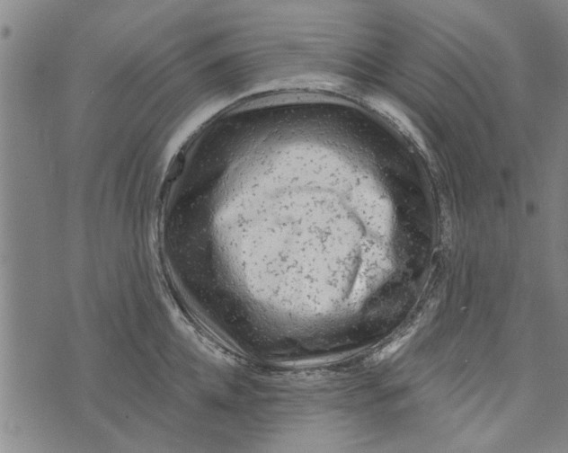 X0000073730952200608241253