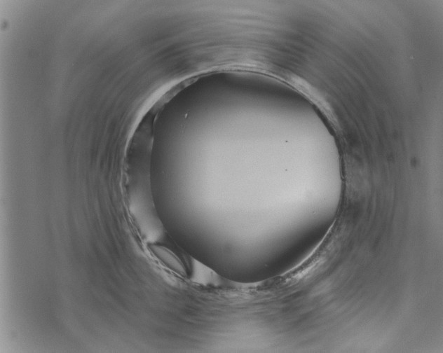 X0000073730956200608241253