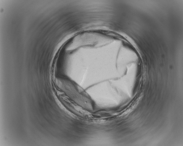 X0000073730957200608241253