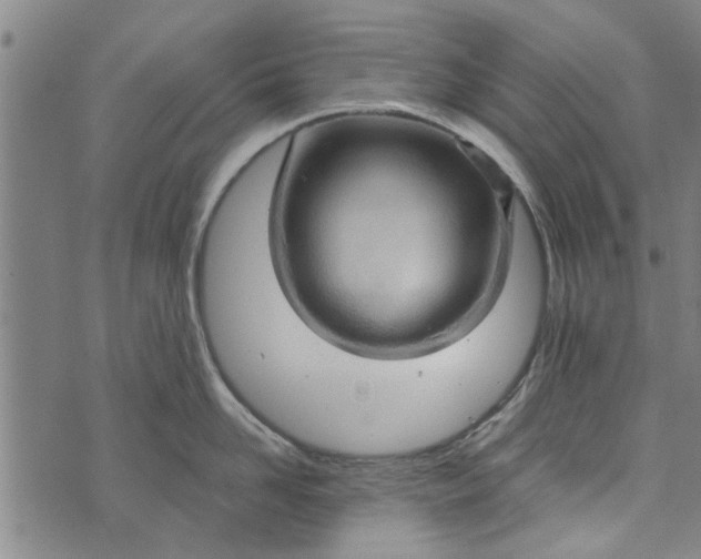 X0000073730958200608241254