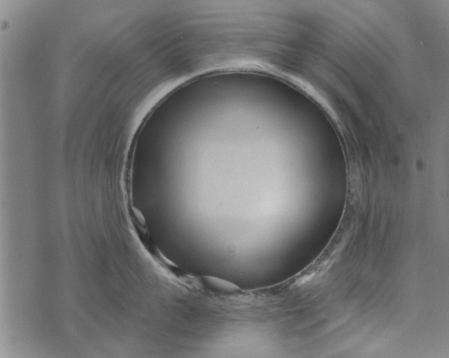 X0000073730959200608241254