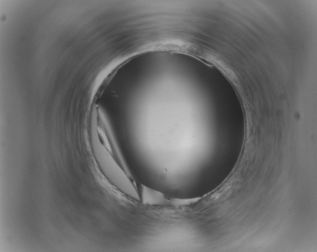 X0000073730960200608241254