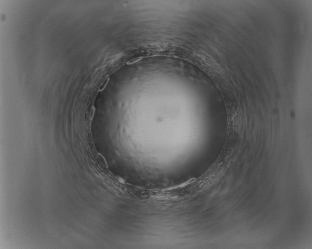 X0000073730961200608241253