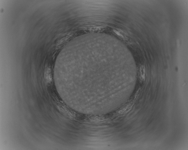 X0000073730962200608241253