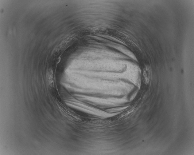 X0000073730963200608241253