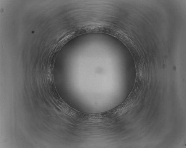 X0000073730964200608241253