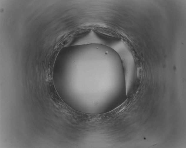 X0000073730965200608241253