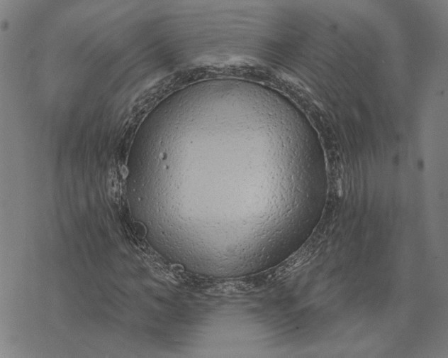 X0000073730966200608241253