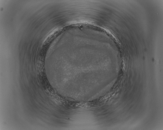 X0000073730967200608241253