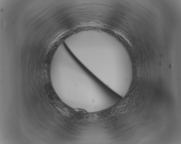 X0000073730968200608241253