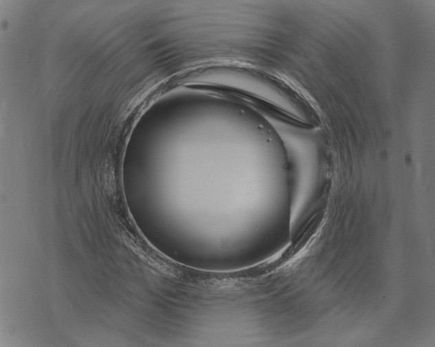 X0000073730969200608241253