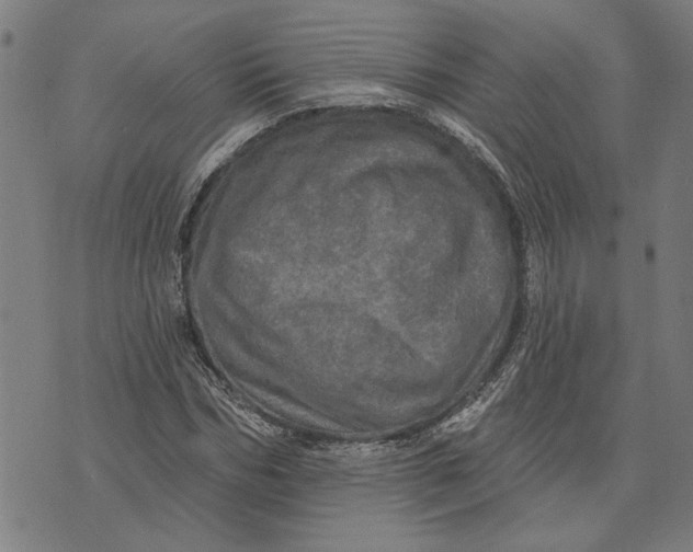 X0000073730970200608241253