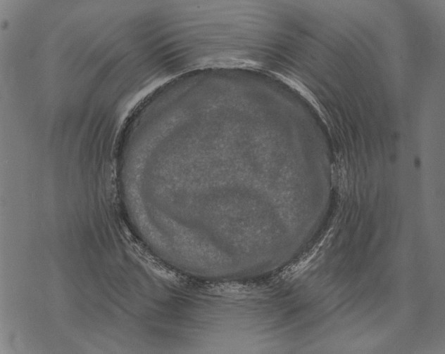 X0000073730971200608241252