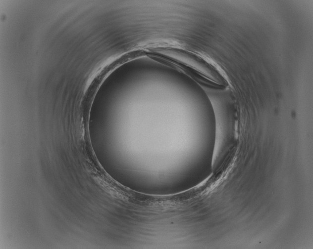 X0000073730973200608241252