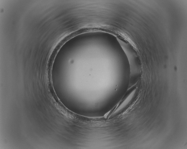 X0000073730976200608241252