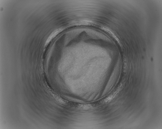 X0000073730978200608241252