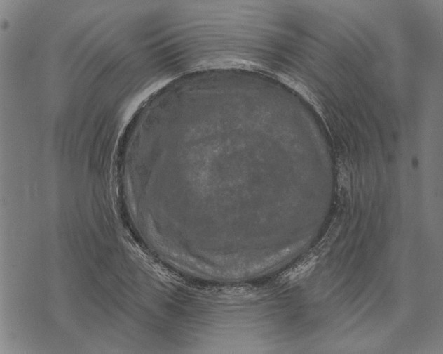 X0000073730979200608241252