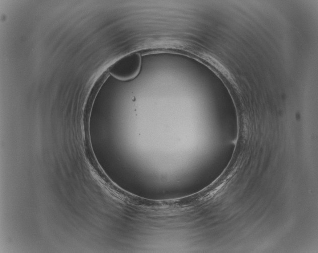 X0000073730980200608241252