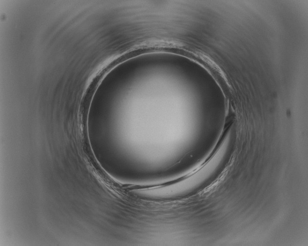 X0000073730981200608241252