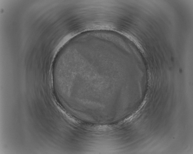 X0000073730982200608241252