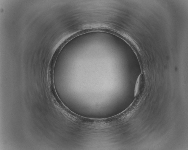 X0000073730983200608241252