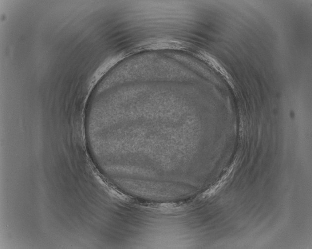 X0000073730986200608241252