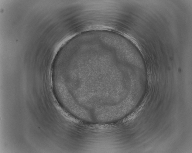 X0000073730987200608241252