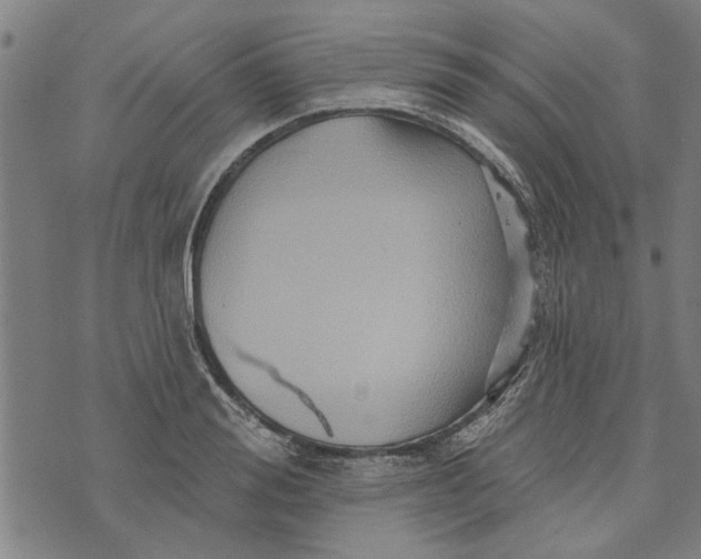 X0000073730988200608241252