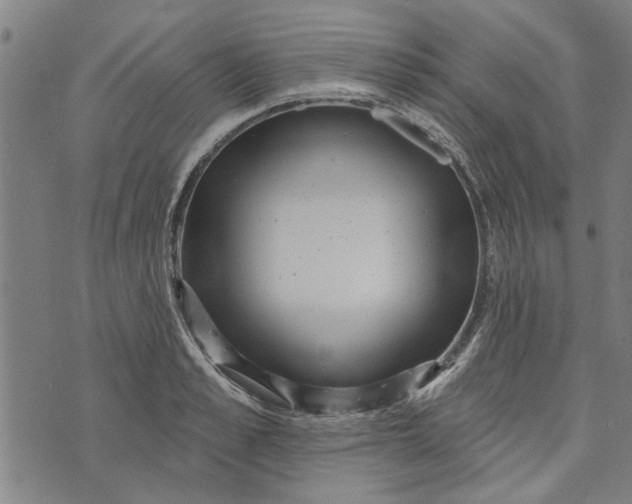 X0000073730989200608241252