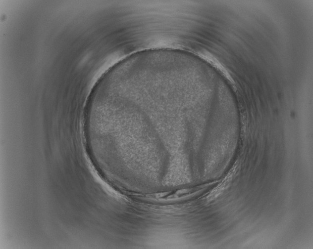 X0000073730991200608241252