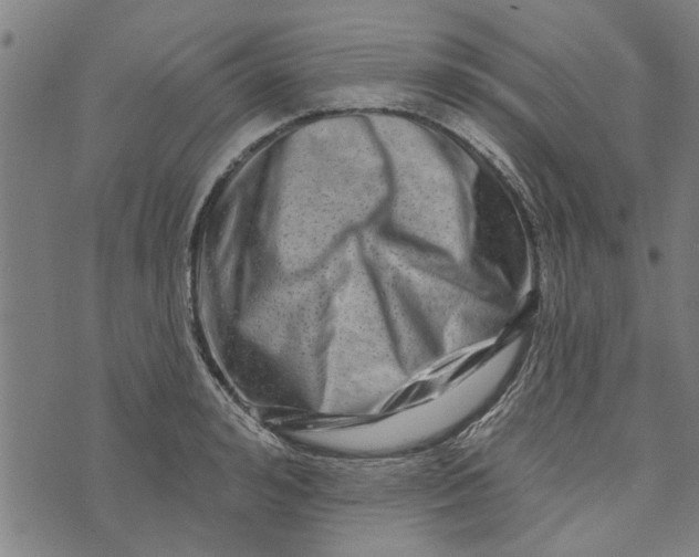 X0000073730992200608241252