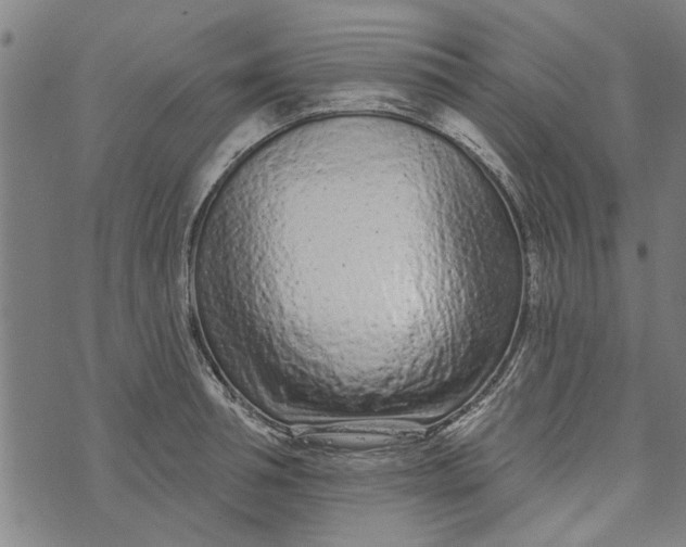 X0000073730994200608241252