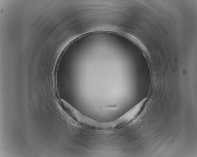 X0000073730996200608241252