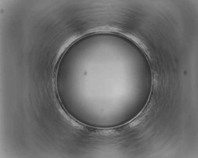 X0000073730998200608241252