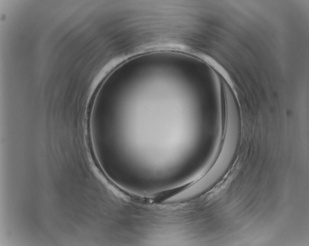 X0000073731005200608241252