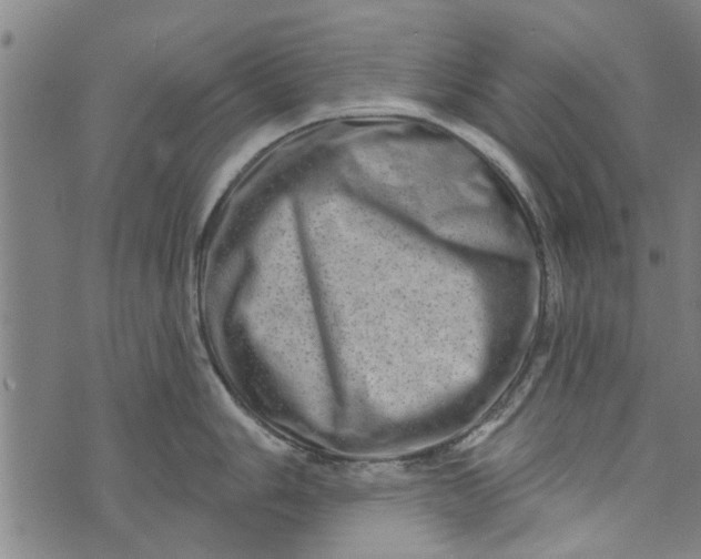 X0000073731006200608241252