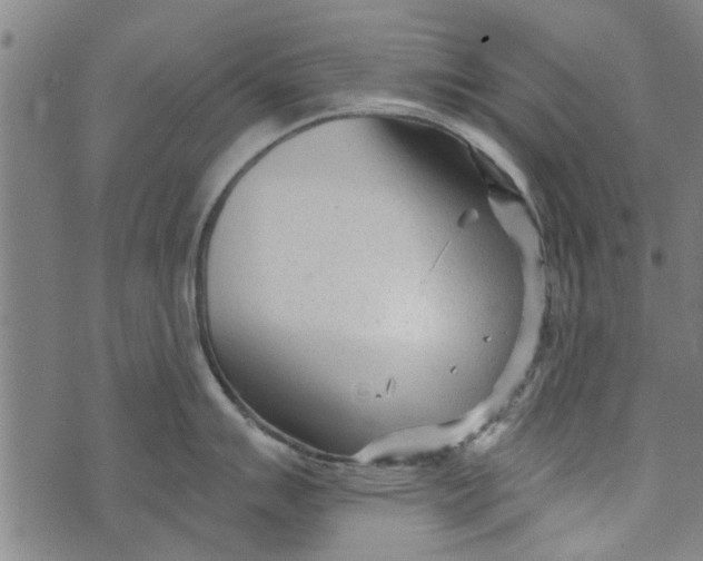 X0000073731007200608241252