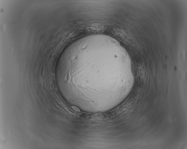 X0000073731009200608241251