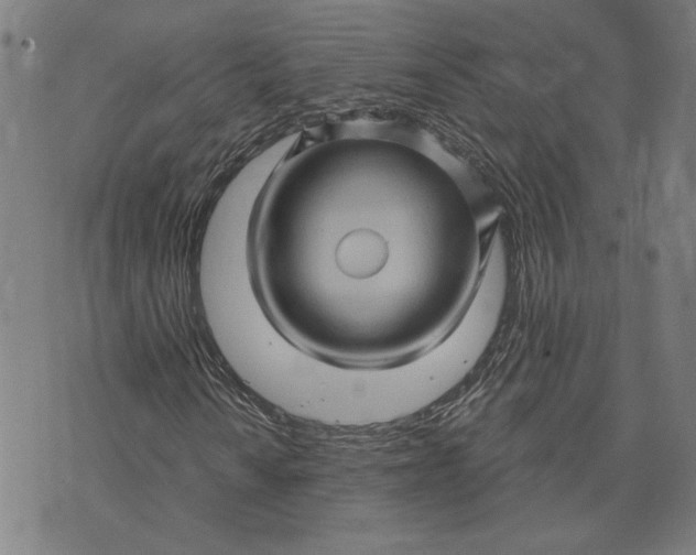 X0000073731010200608241251