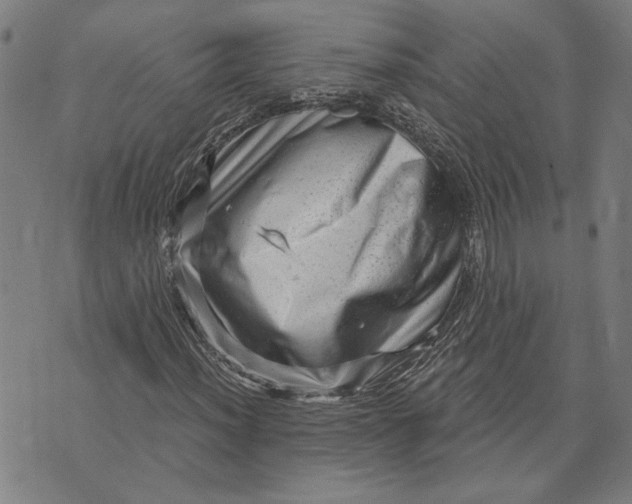 X0000073731012200608241251