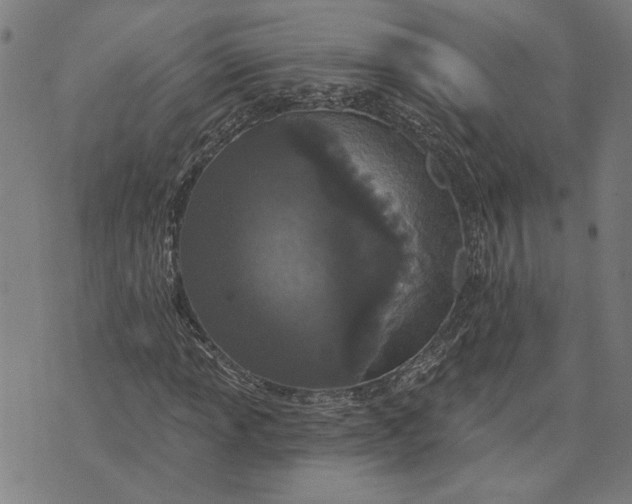 X0000073731013200608241251