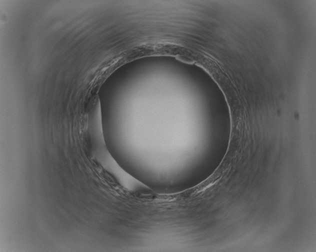 X0000073731014200608241251