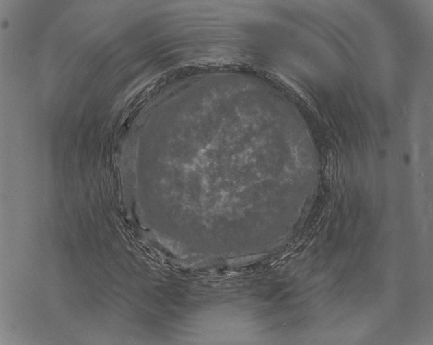 X0000073731015200608241251