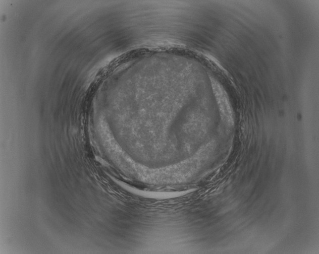 X0000073731016200608241251