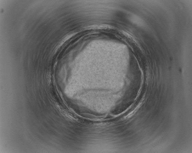 X0000073731017200608241251