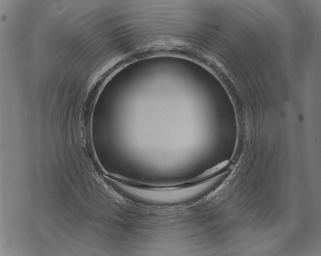 X0000073731018200608241251