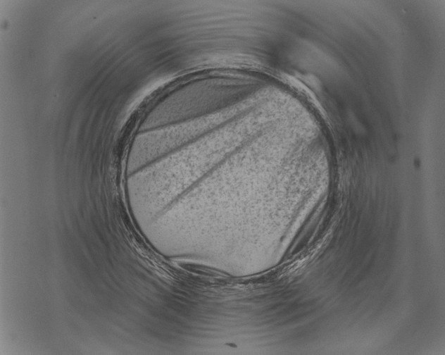 X0000073731019200608241251