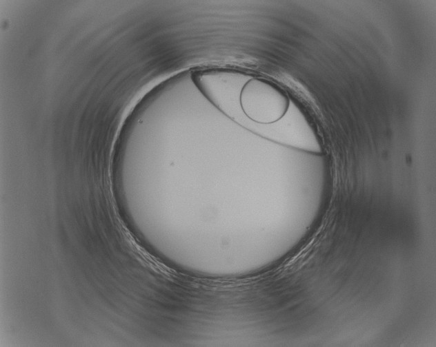 X0000073731020200608241251